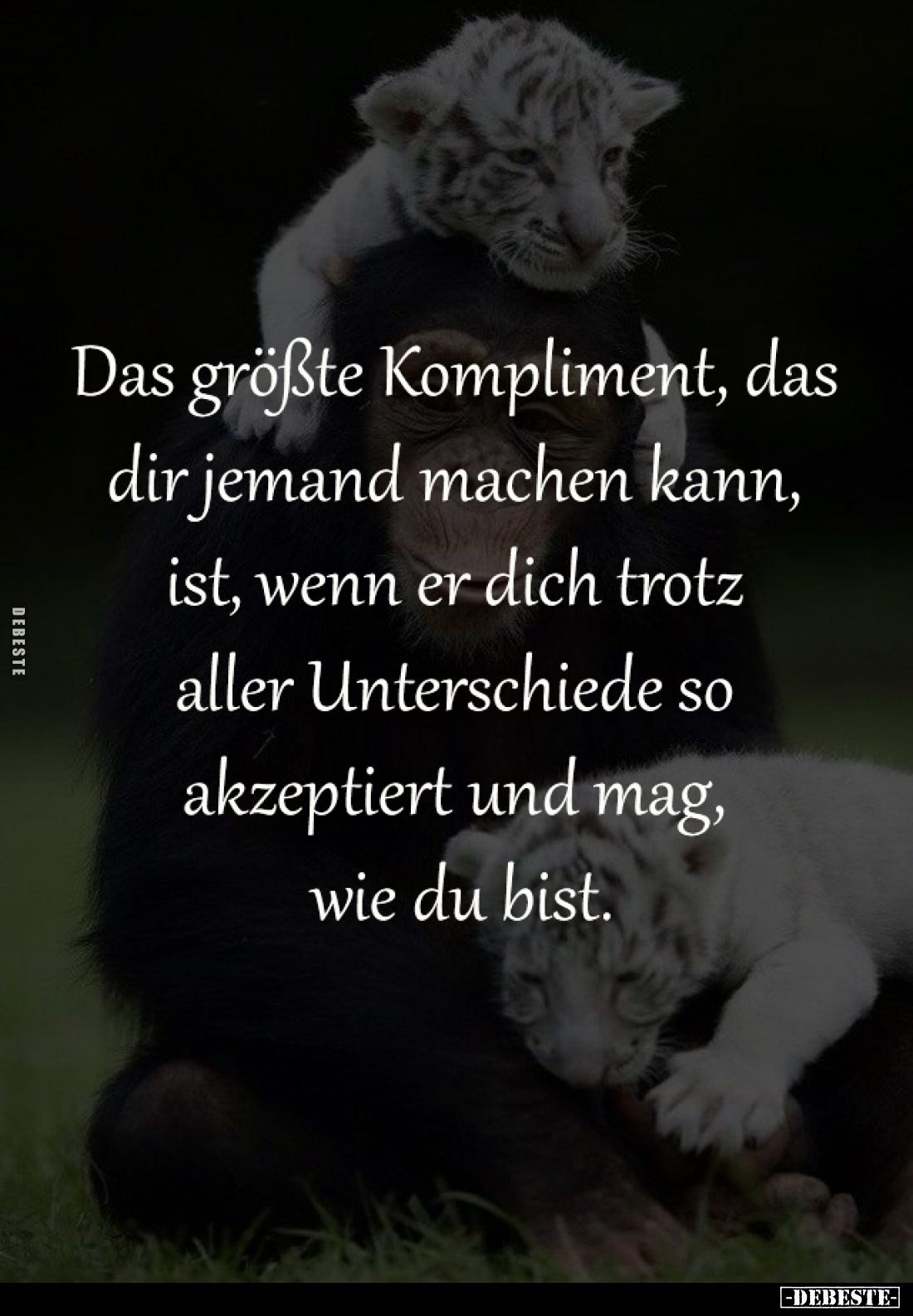 Das größte Kompliment, 
das dir jemand machen kann, 
ist, wenn er dich trotz 
aller Unterschiede so 
akzeptiert und mag, ...