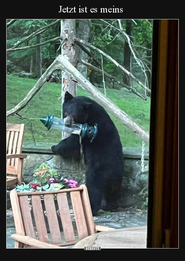 Jetzt ist es meins