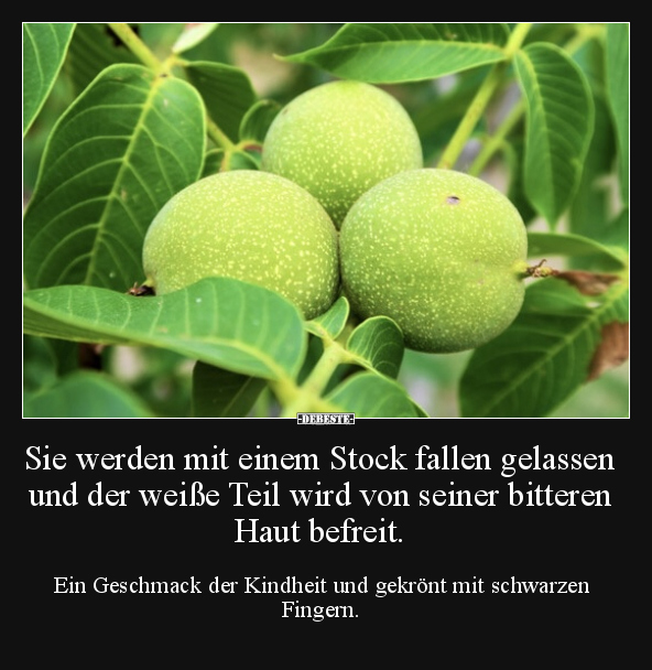 Sie werden mit einem Stock fallen gelassen und der weiße.. - Lustige Bilder | DEBESTE.de