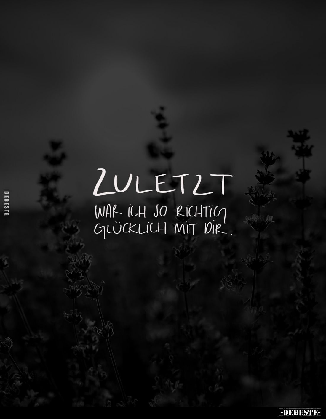 Zuletzt war ich so richtig glücklich mit dir.