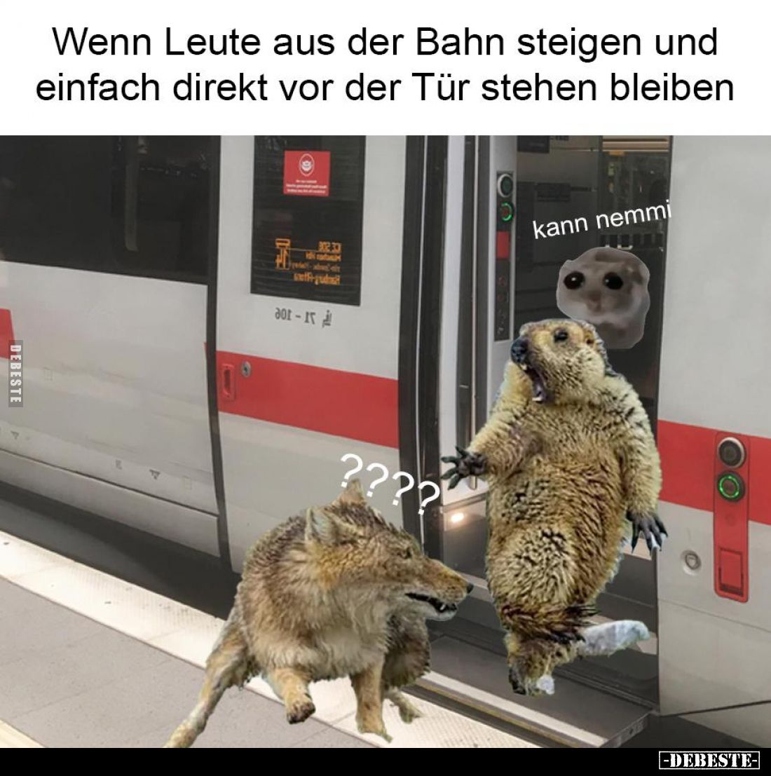 Wenn Leute aus der Bahn steigen und einfach direkt vor der Tür stehen bleiben