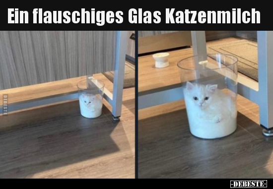 Ein flauschiges Glas Katzenmilch.. - Lustige Bilder | DEBESTE.de