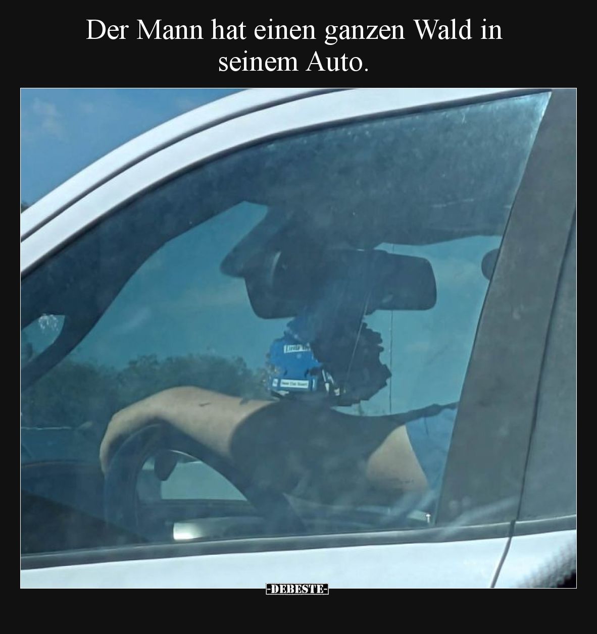 Der Mann hat einen ganzen Wald in seinem Auto.