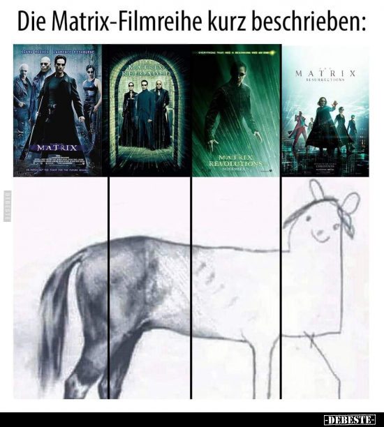 Die Matrix-Filmreihe kurz beschrieben.. - Lustige Bilder | DEBESTE.de