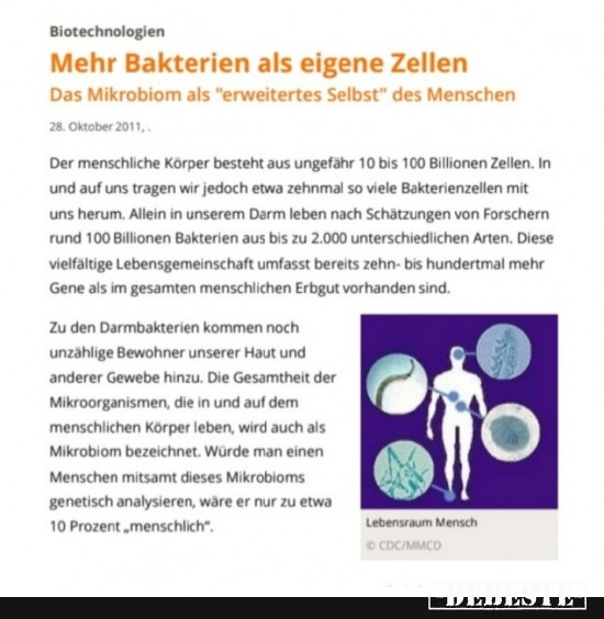 Mehr Bakterien als eigene Zellen - Lustige Bilder | DEBESTE.de