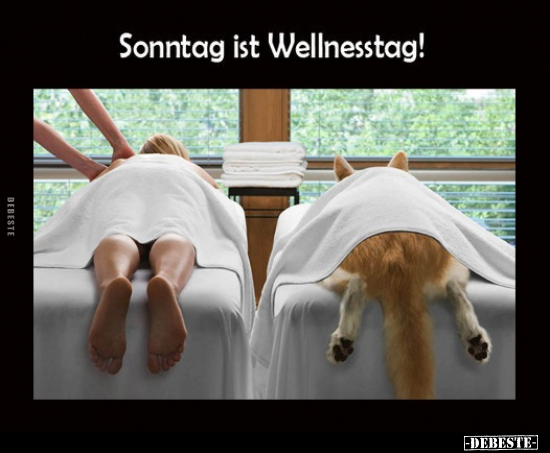 Sonntag ist Wellnesstag!.. - Lustige Bilder | DEBESTE.de
