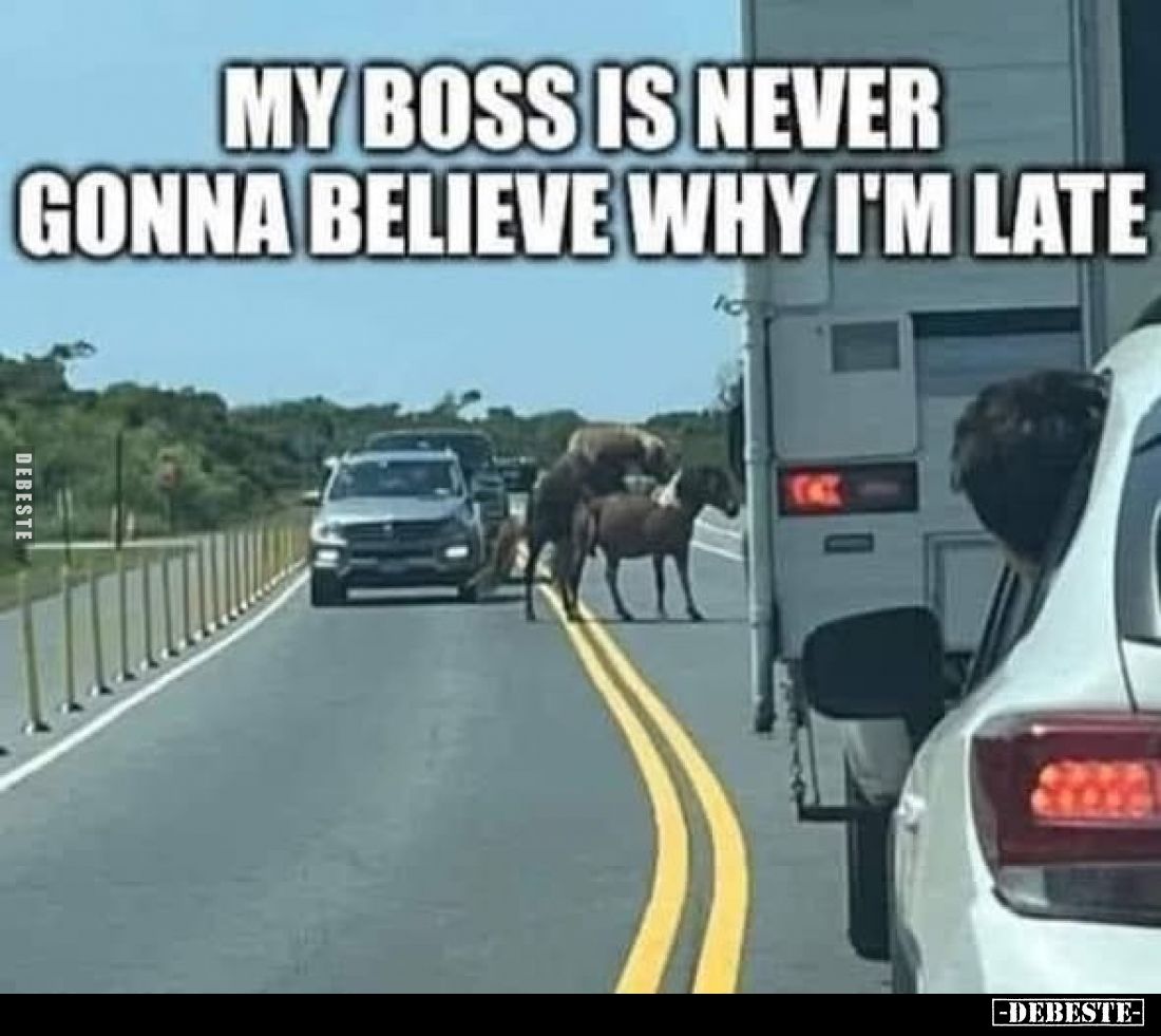 My boss is never gonna believe why I'm late.