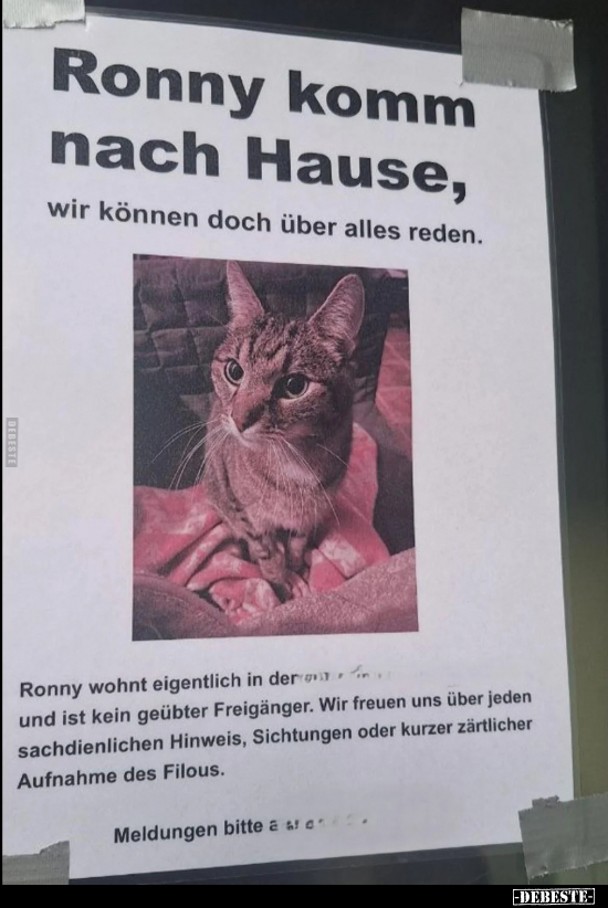 Ronny komm nach Hause, wir können doch über alles.. - Lustige Bilder | DEBESTE.de