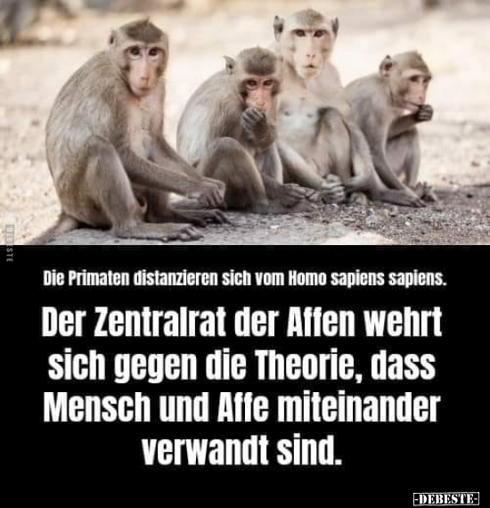 Die Primaten distanzieren sich vom Homo sapiens.. - Lustige Bilder | DEBESTE.de