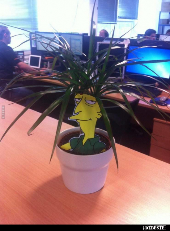  - Lustige Bilder | DEBESTE.de