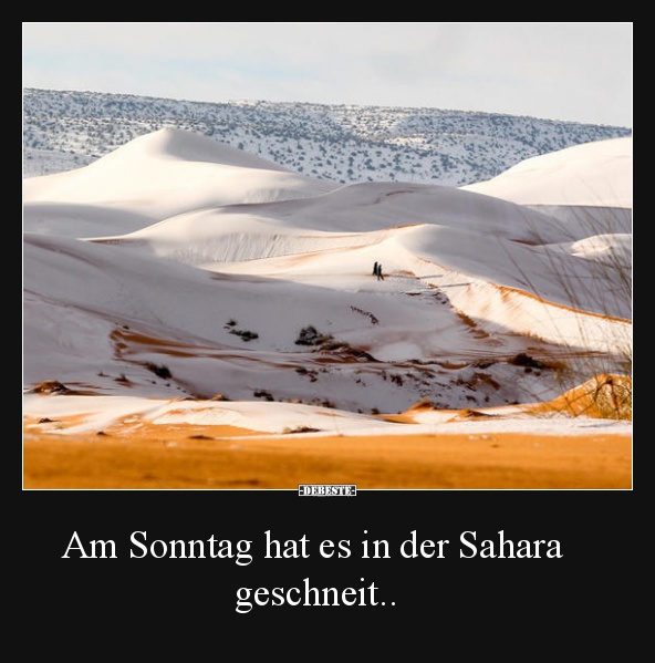 Am Sonntag hat es in der Sahara    geschneit.. - Lustige Bilder | DEBESTE.de