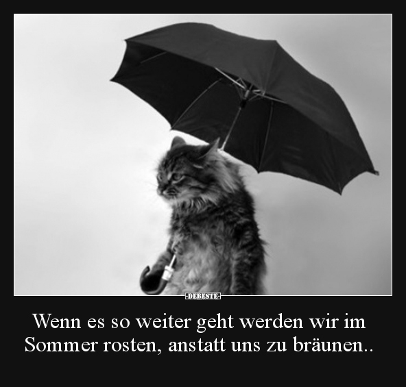 Wenn es so weiter geht werden wir im Sommer rosten.. - Lustige Bilder | DEBESTE.de