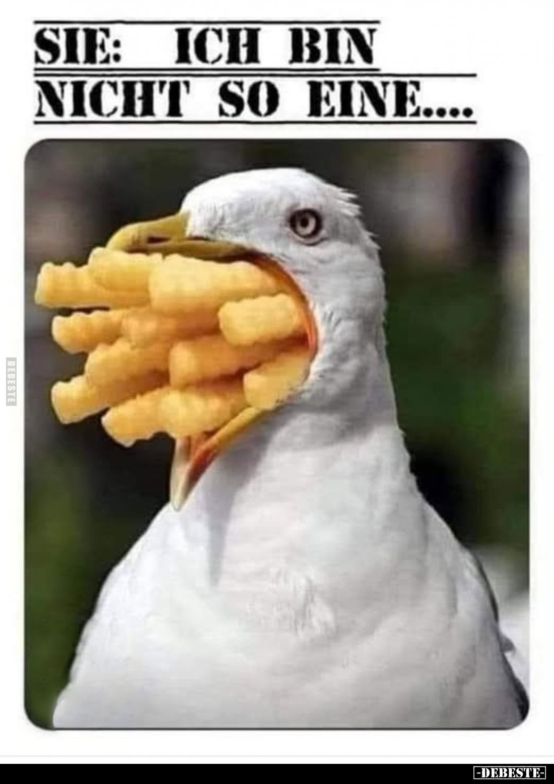 Sie: Ich bin nicht so eine....