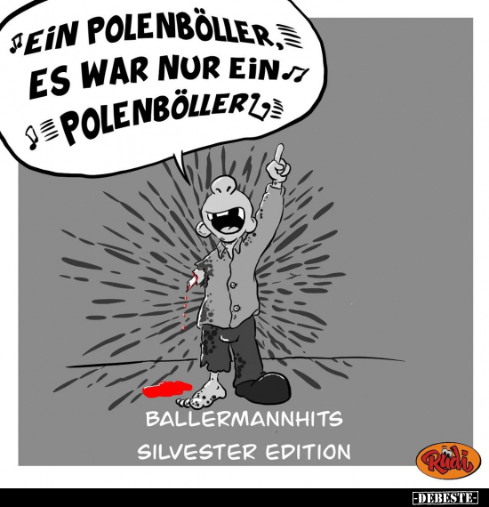 Ballermannhits Silvester Edition... - Lustige Bilder | DEBESTE.de