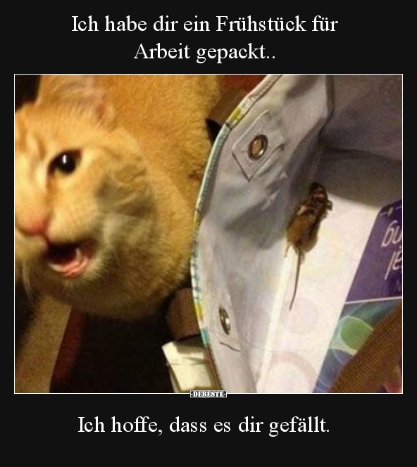 Ich habe dir ein Frühstück für  Arbeit gepackt..