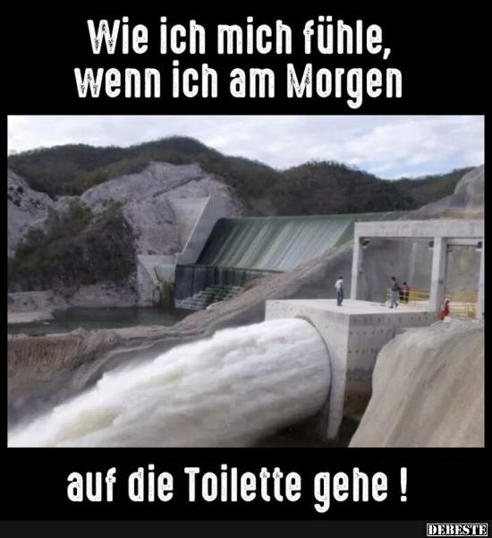 Wie ich mich fühle wenn ich am Morgen auf die Toilette gehe!