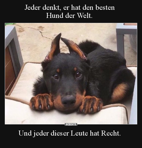 Jeder denkt, er hat den besten Hund der Welt .. - Lustige Bilder | DEBESTE.de