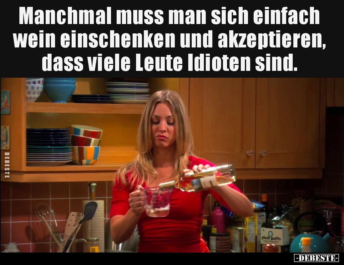 Manchmal muss man sich einfach wein einschenken und akzeptieren, dass viele Leute Idioten sind.