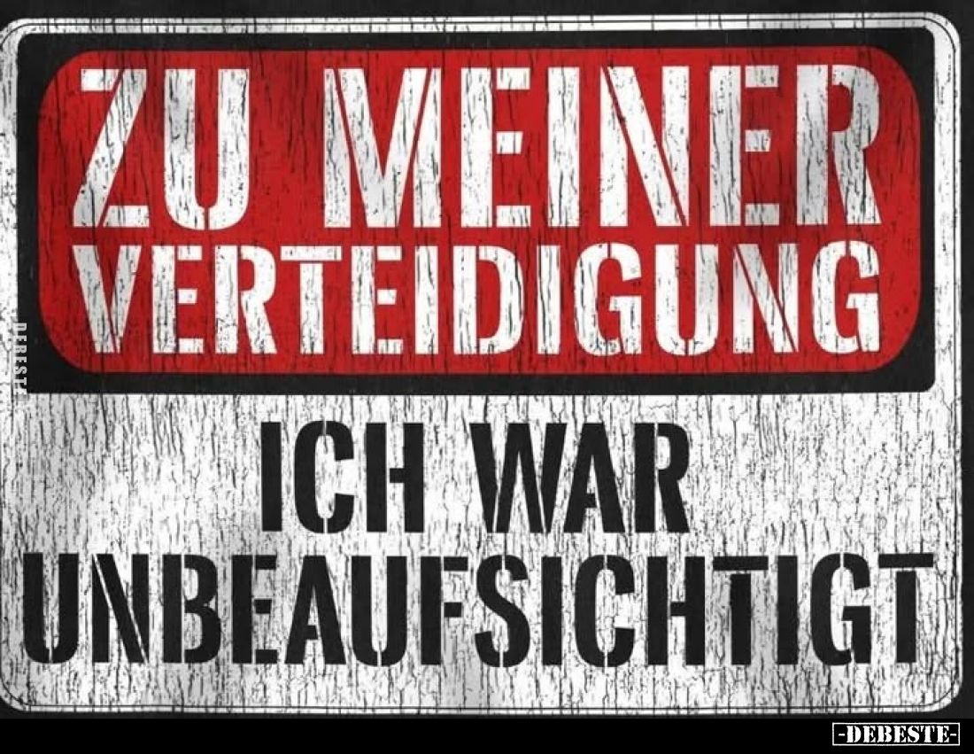 Zu meiner Verteidigung
ich war
unbeaufsichtigt.