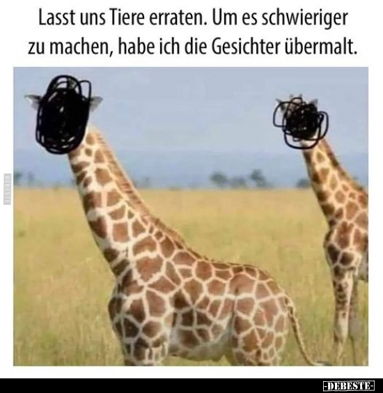 Lasst uns Tiere erraten. Um es schwieriger zu machen.. - Lustige Bilder | DEBESTE.de