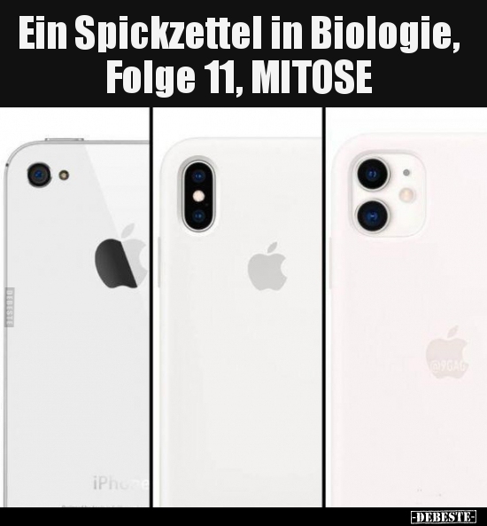 Ein Spickzettel in Biologie, Folge 11, MITOSE.. - Lustige Bilder | DEBESTE.de