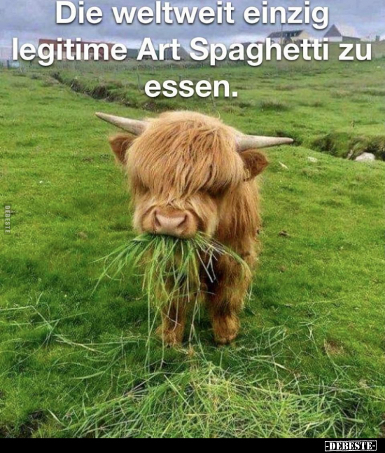 Die weltweit einzig legitime Art, Spaghetti zu essen... - Lustige Bilder | DEBESTE.de