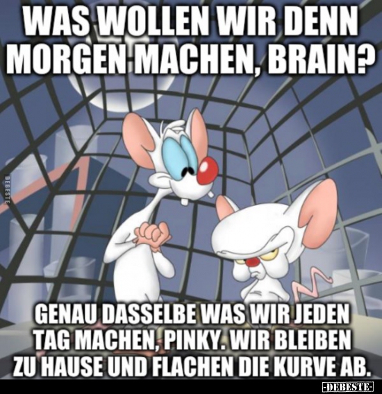 Was wollen wir denn morgen machen, Brain?..