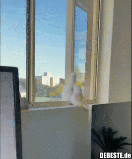  - Lustige Bilder | DEBESTE.de