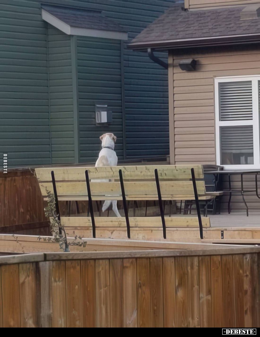  - Lustige Bilder | DEBESTE.de