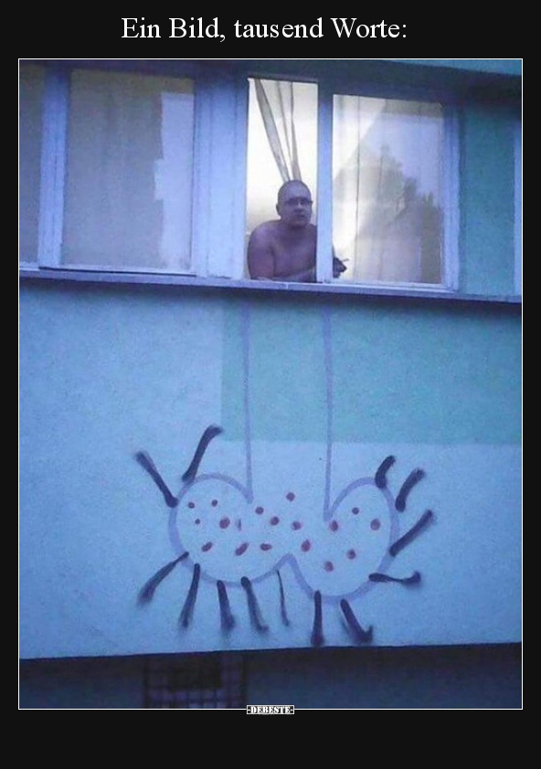 Ein Bild, tausend Worte..