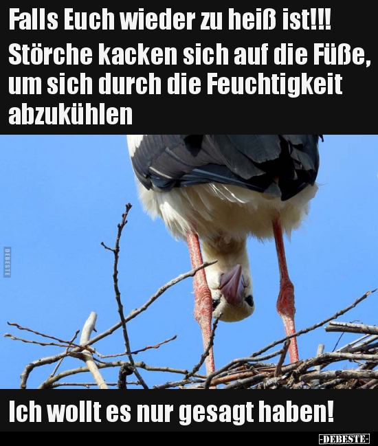 Falls Euch wieder zu heiß ist!!!..