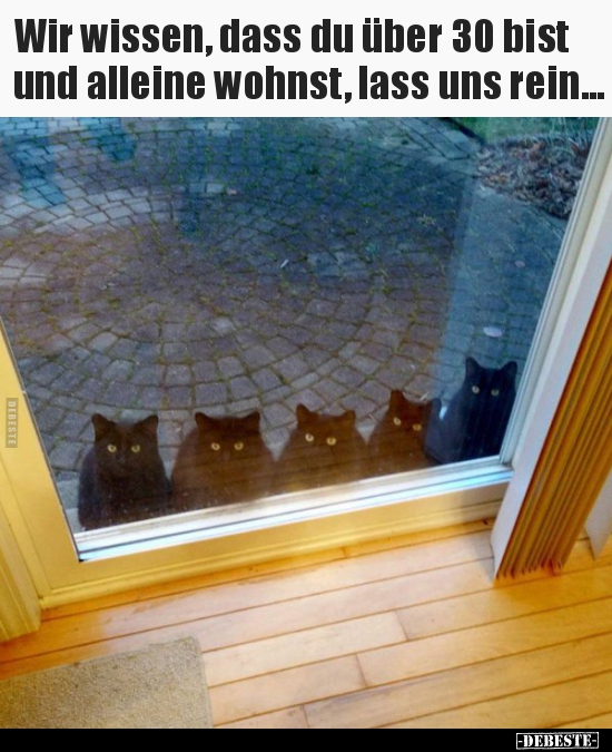 Wir wissen, dass du über 30 bist und alleine wohnst, lass..