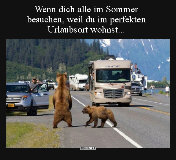 Wenn dich alle im Sommer besuchen, weil du im perfekten.. - DEBESTE.de