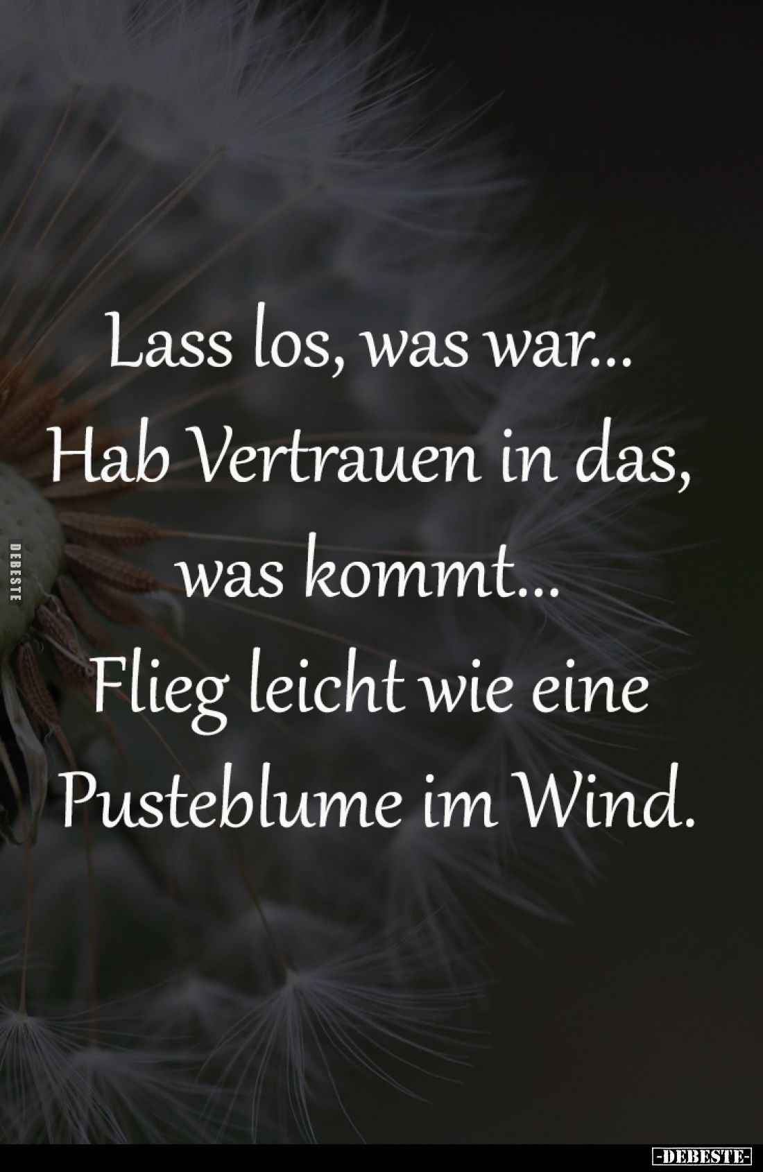 Lass los, was war... 
Hab Vertrauen in das, 
was kommt... 
Flieg leicht wie eine 
Pusteblume im Wind.