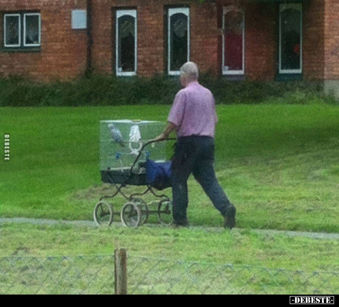  - Lustige Bilder | DEBESTE.de