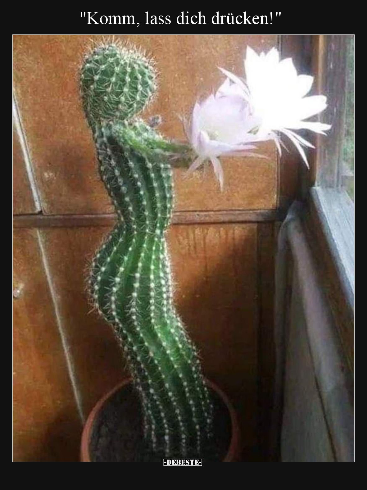 "Komm, lass dich drücken!"