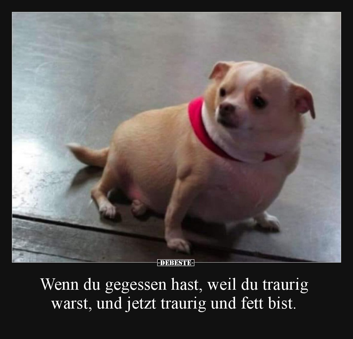 Wenn du gegessen hast, weil du traurig warst, und jetzt.. - Lustige Bilder | DEBESTE.de