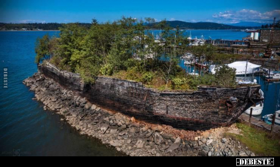  - Lustige Bilder | DEBESTE.de