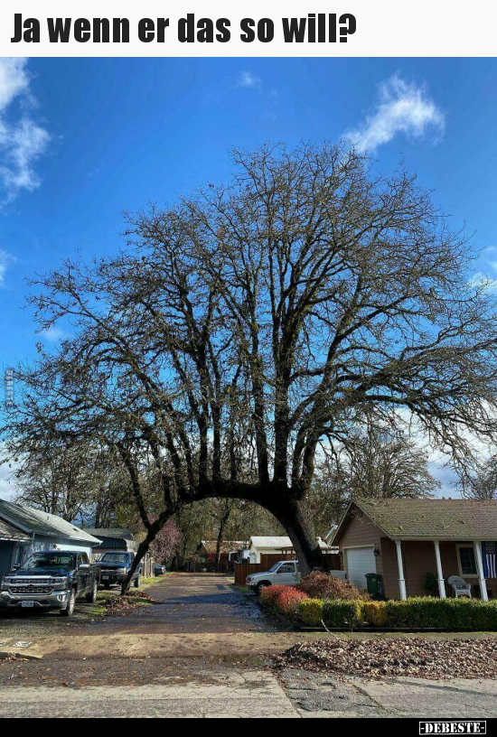 Ja wenn er das so will?..