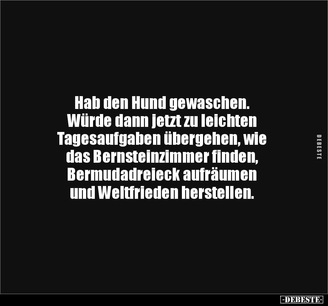 Hab den Hund gewaschen. 
Würde dann jetzt zu leichten 
Tagesaufgaben übergehen, wie 
das Bernsteinzimmer finden, 
Bermuda...