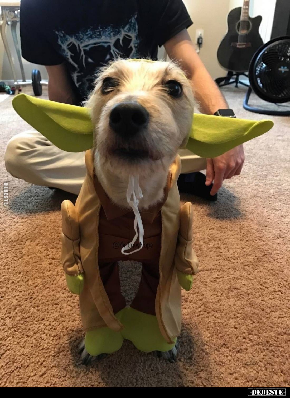 Yoda