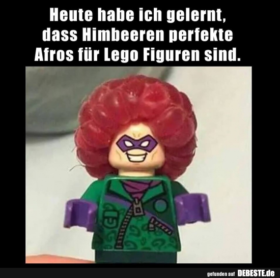 Heute habe ich gelernt, dass Himbeeren perfekte Afros für Lego.. - Lustige Bilder | DEBESTE.de