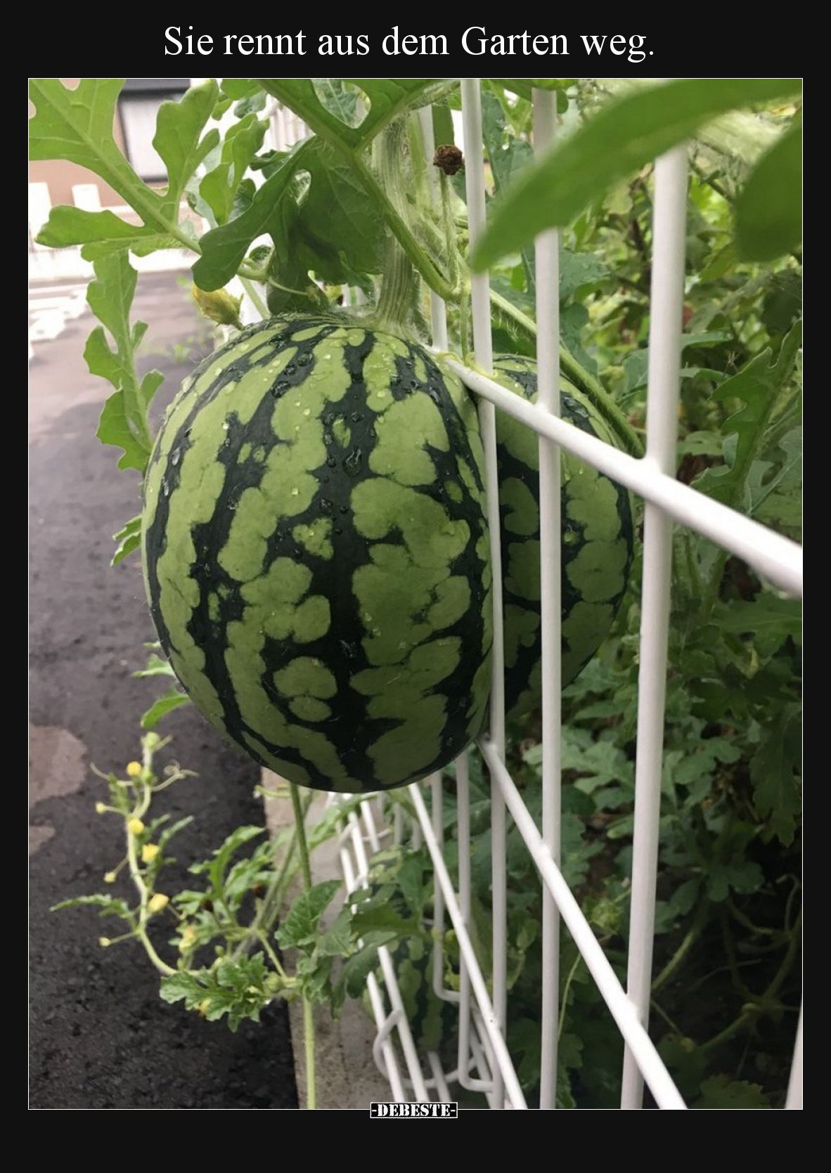 Sie rennt aus dem Garten weg.