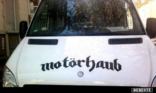  - Lustige Bilder | DEBESTE.de