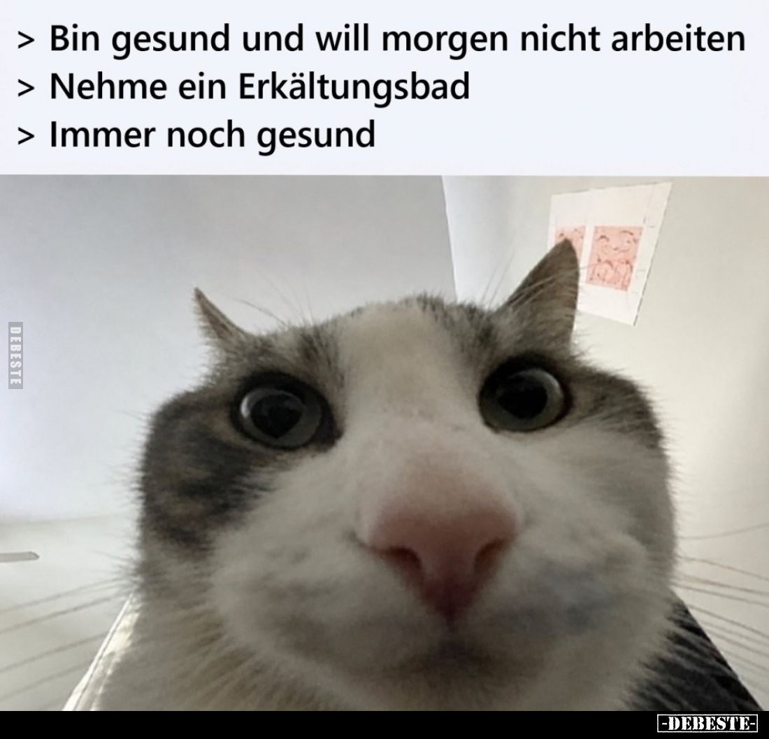 Bin gesund und will morgen nicht arbeiten.

Nehme ein Erkältungsbad.

Immer noch gesund.