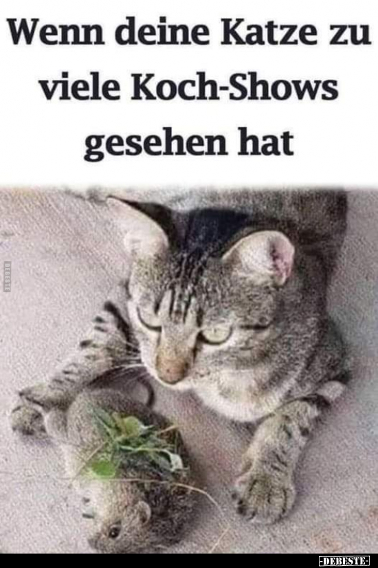 Wenn deine Katze zu viele Koch-Shows gesehen hat.. - Lustige Bilder | DEBESTE.de