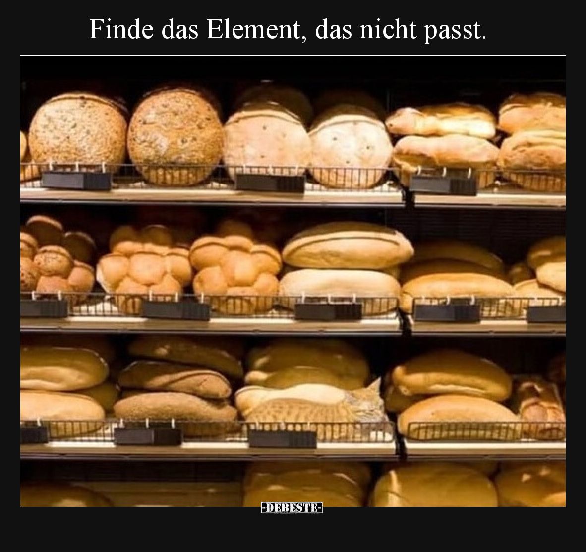 Finde das Element, das nicht passt.