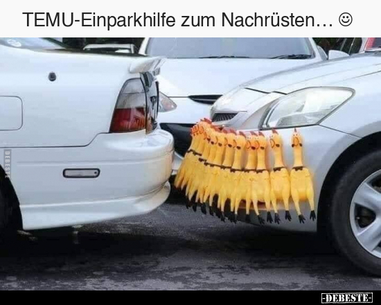 TEMU-Einparkhilfe zum Nachrüsten… - Lustige Bilder | DEBESTE.de