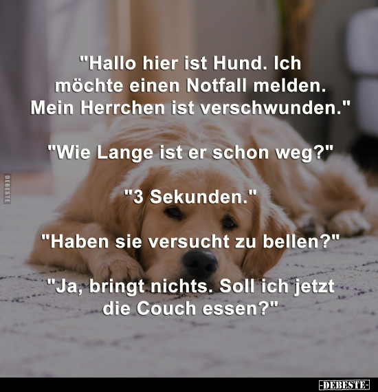 "Hallo hier ist Hund. Ich möchte einen Notfall melden.." - Lustige Bilder | DEBESTE.de