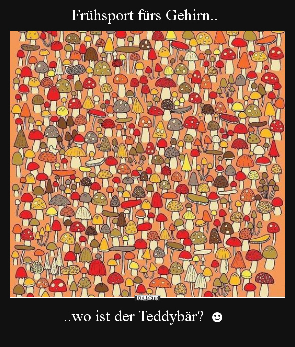 Frühsport fürs Gehirn.. ..wo ist der Teddybär? ☻.. - Lustige Bilder | DEBESTE.de
